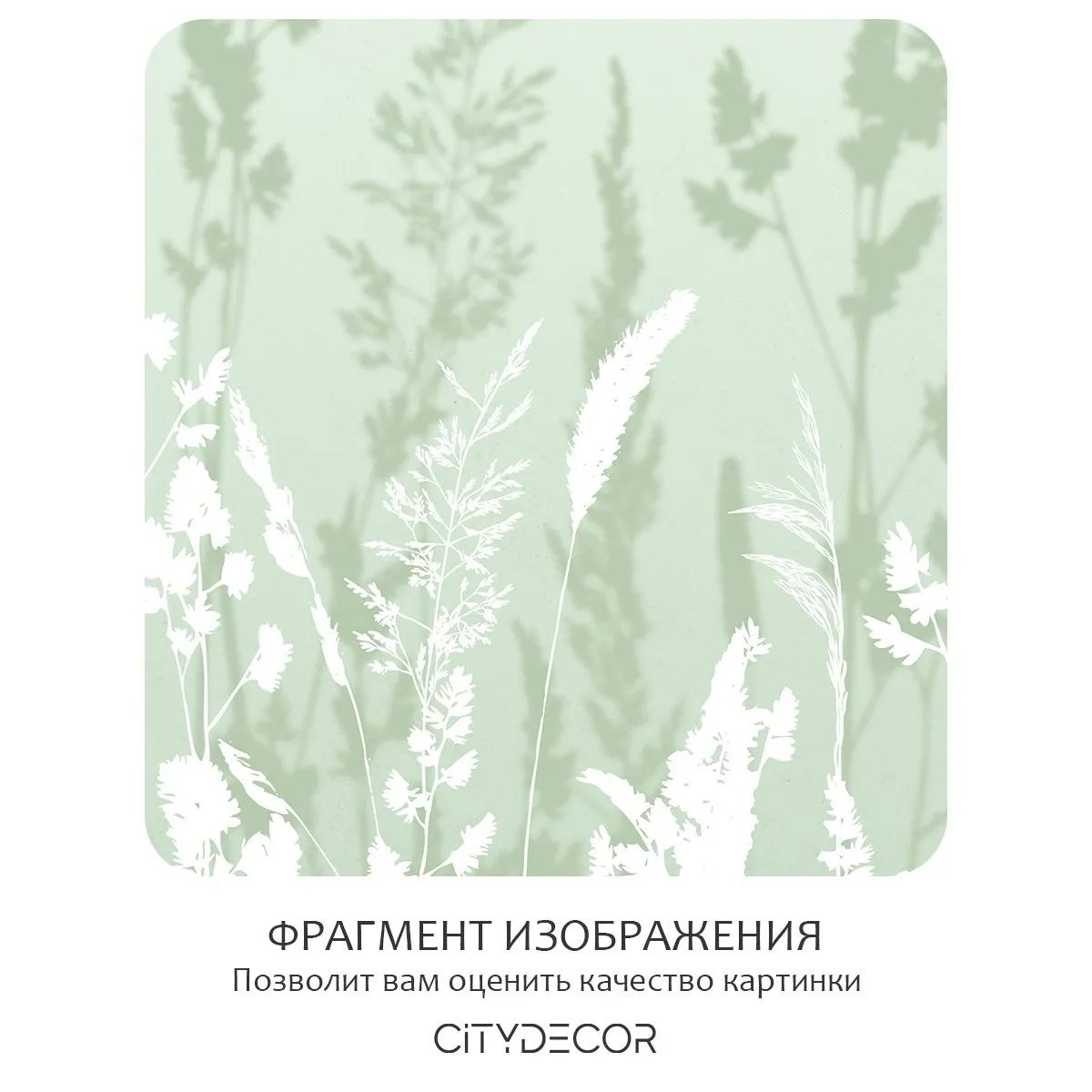 Фотообои рулонные Citydecor Невесомость 16 на флизелиновой основе 200x140 см