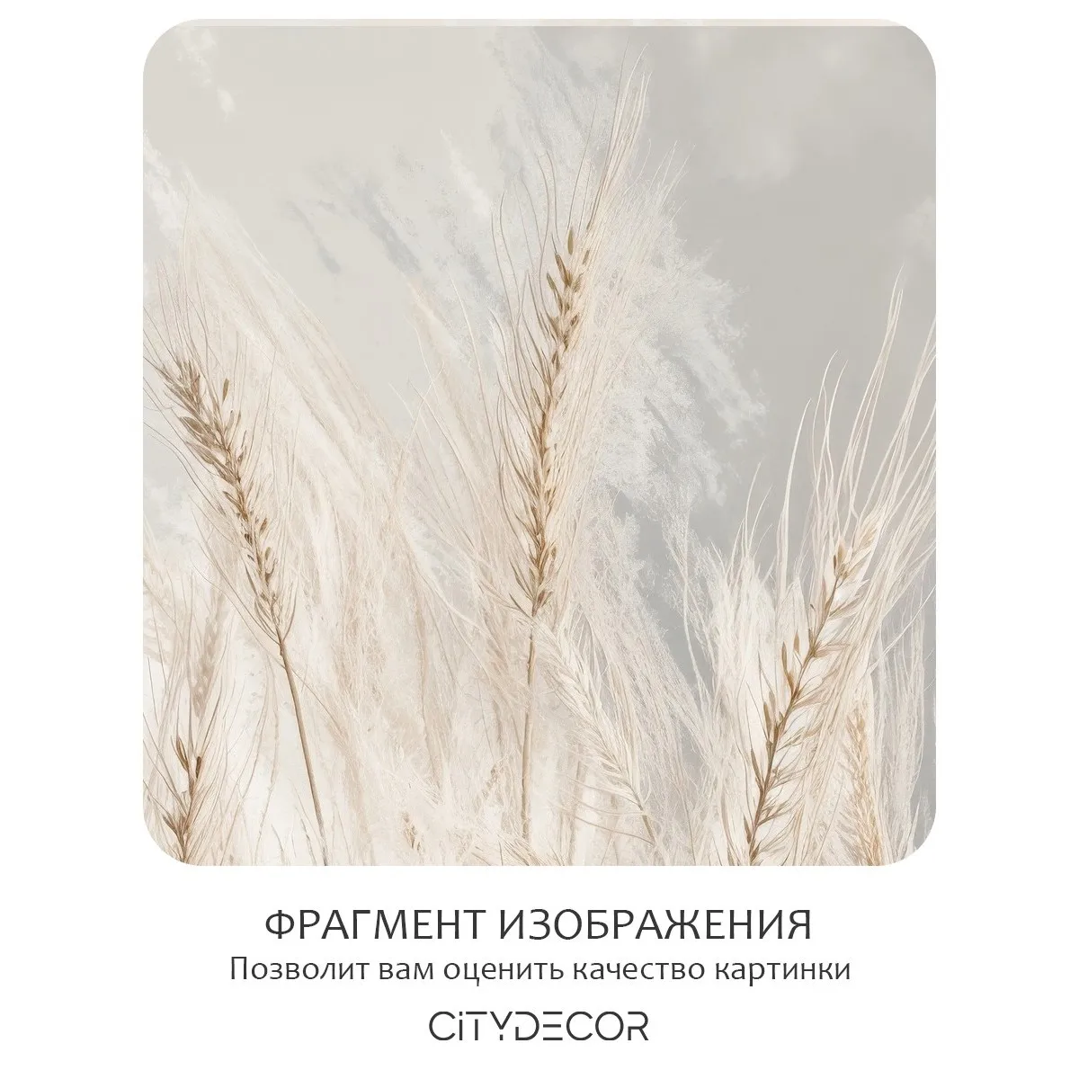 Фотообои рулонные Citydecor Невесомость 45 на флизелиновой основе 200x140 см