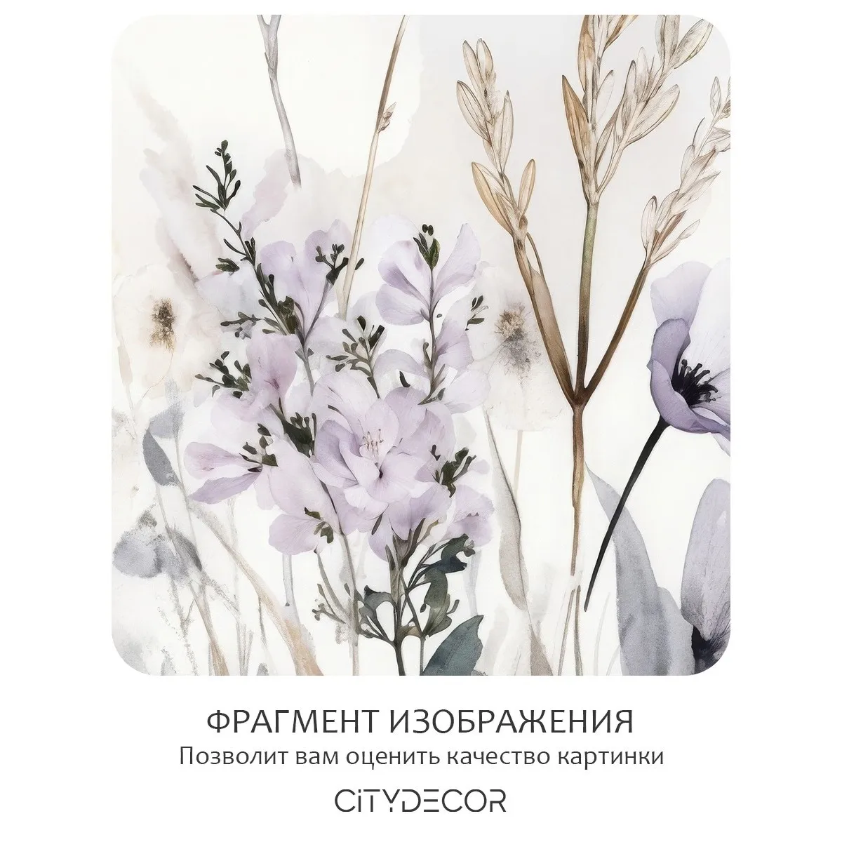 Фотообои рулонные Citydecor Невесомость 48 на флизелиновой основе 200x140 см