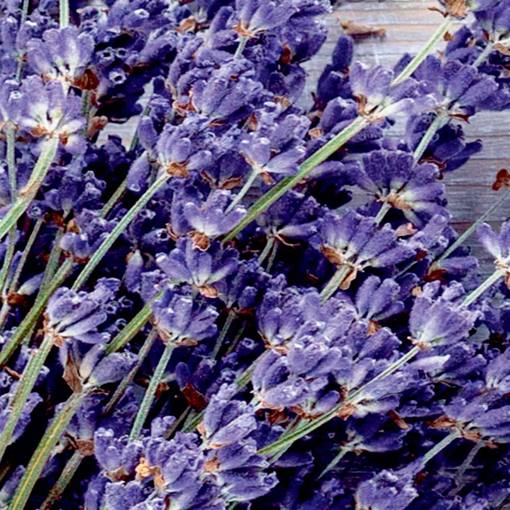 Фотообои рулонные Citydecor Открытка 3D на флизелиновой основе 200x140 см