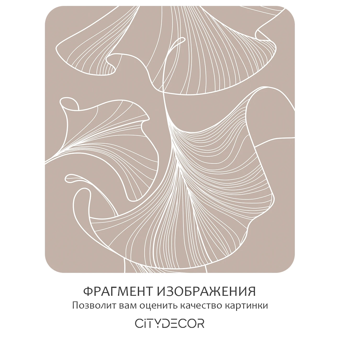Фотообои рулонные Citydecor Perfect Lines 69 на флизелиновой основе 200x140 см