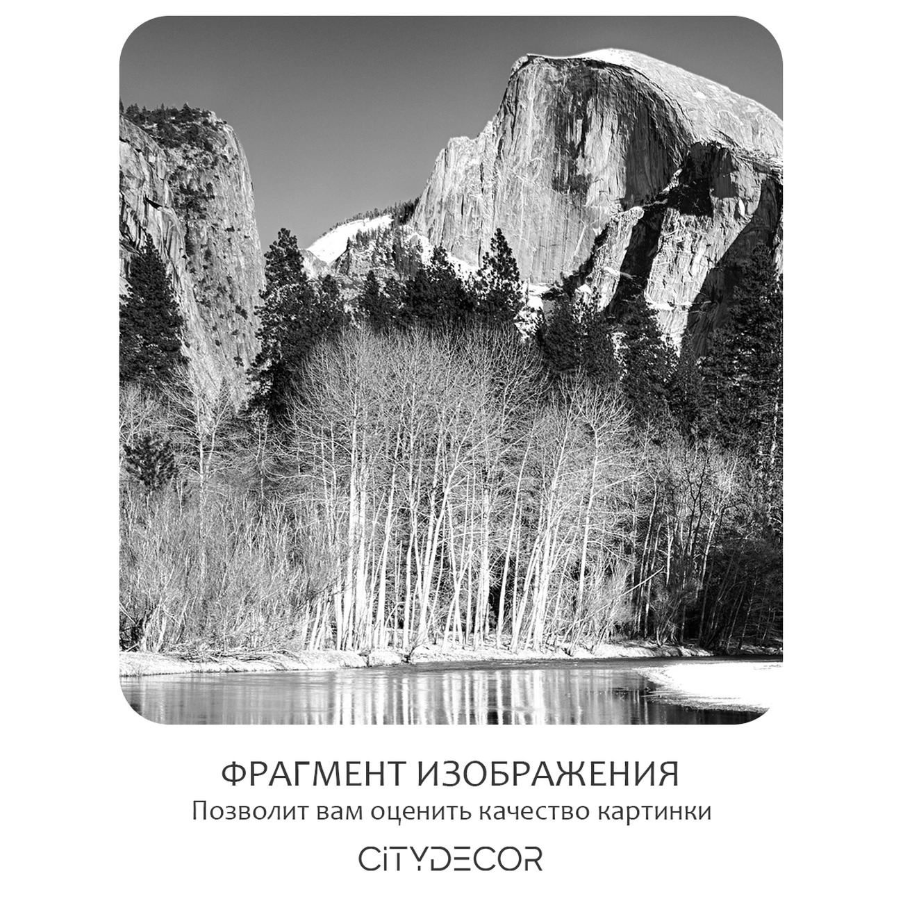 Фотообои рулонные Citydecor Природа 146 на флизелиновой основе 200x140 см