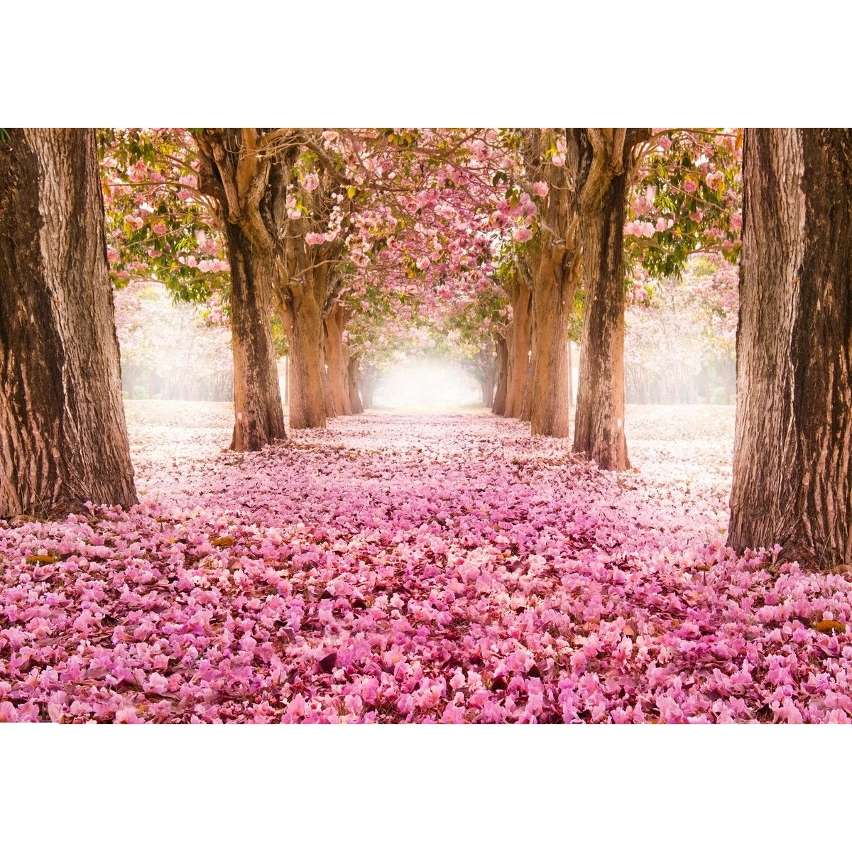Фотообои рулонные Citydecor Природа 14 на флизелиновой основе 200x140 см