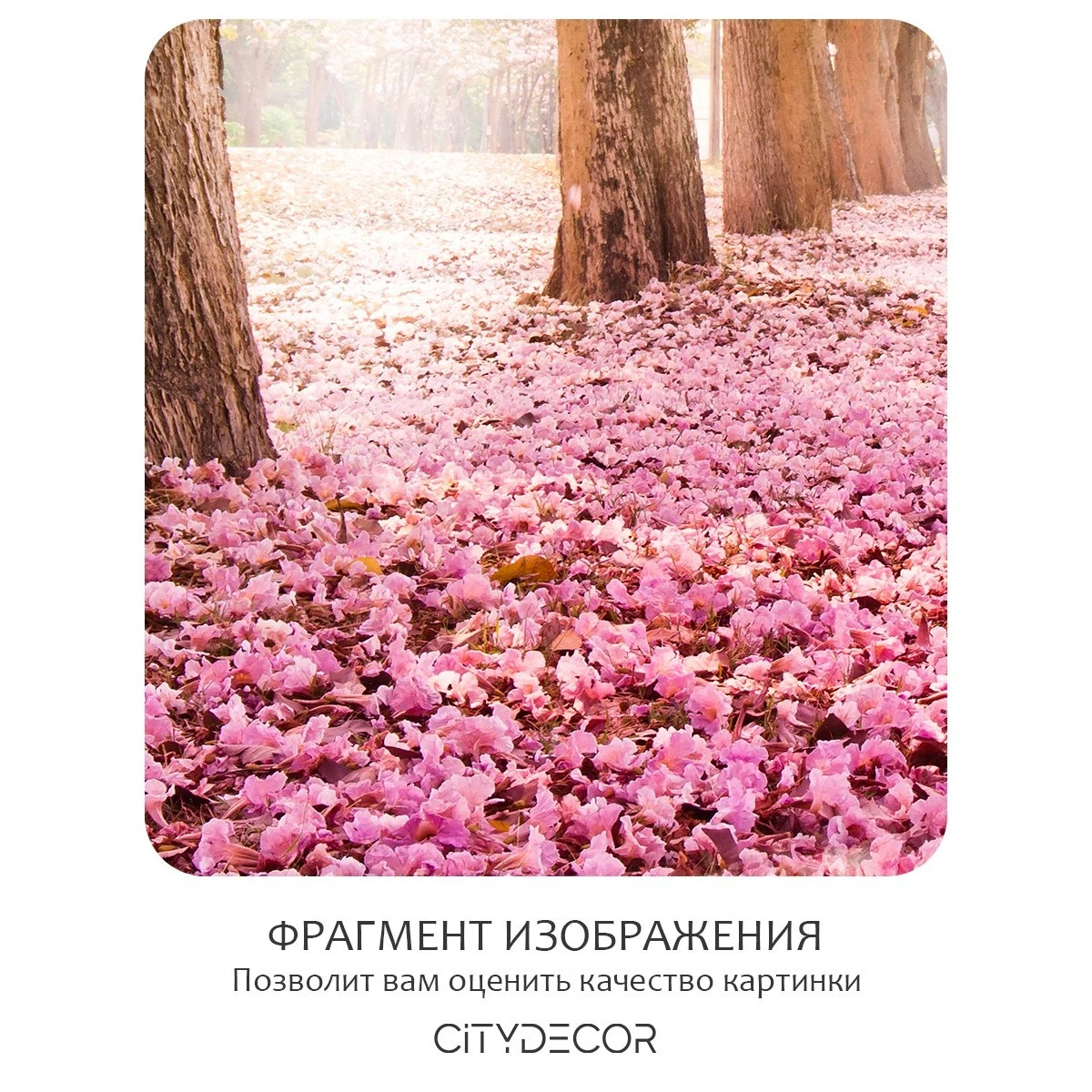 Фотообои рулонные Citydecor Природа 14 на флизелиновой основе 200x140 см