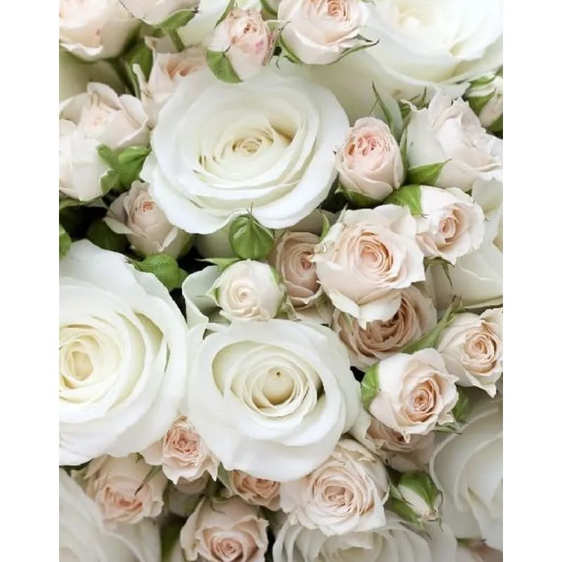 Фотообои рулонные Citydecor Букет роз на флизелиновой основе 200x254 см