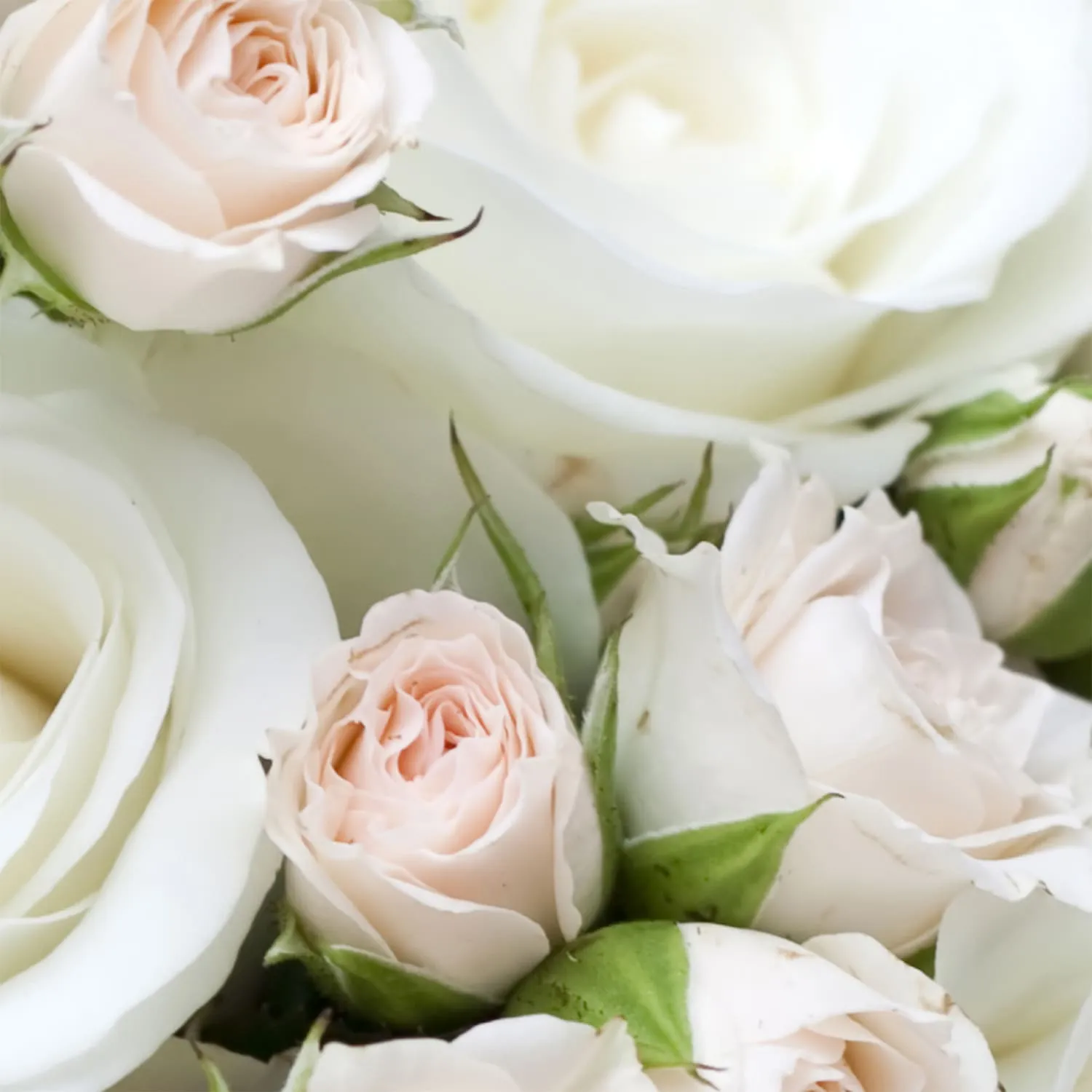 Фотообои рулонные Citydecor Букет роз на флизелиновой основе 200x254 см