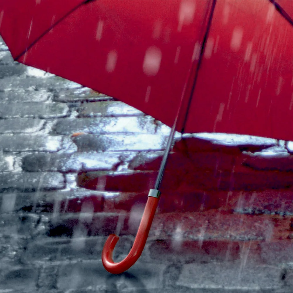 Фотообои рулонные Citydecor Красный зонт на флизелиновой основе 200x254 см