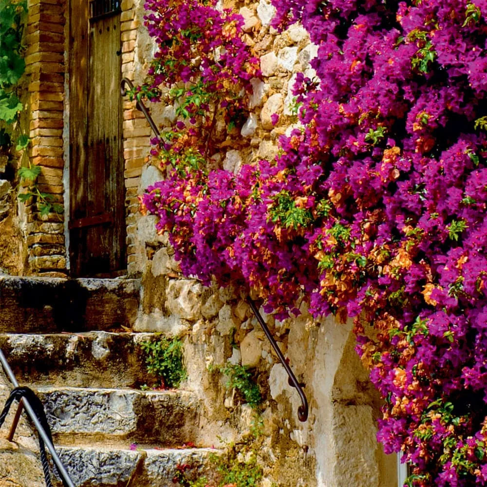 Фотообои рулонные Citydecor Сен-Поль на флизелиновой основе 200x254 см