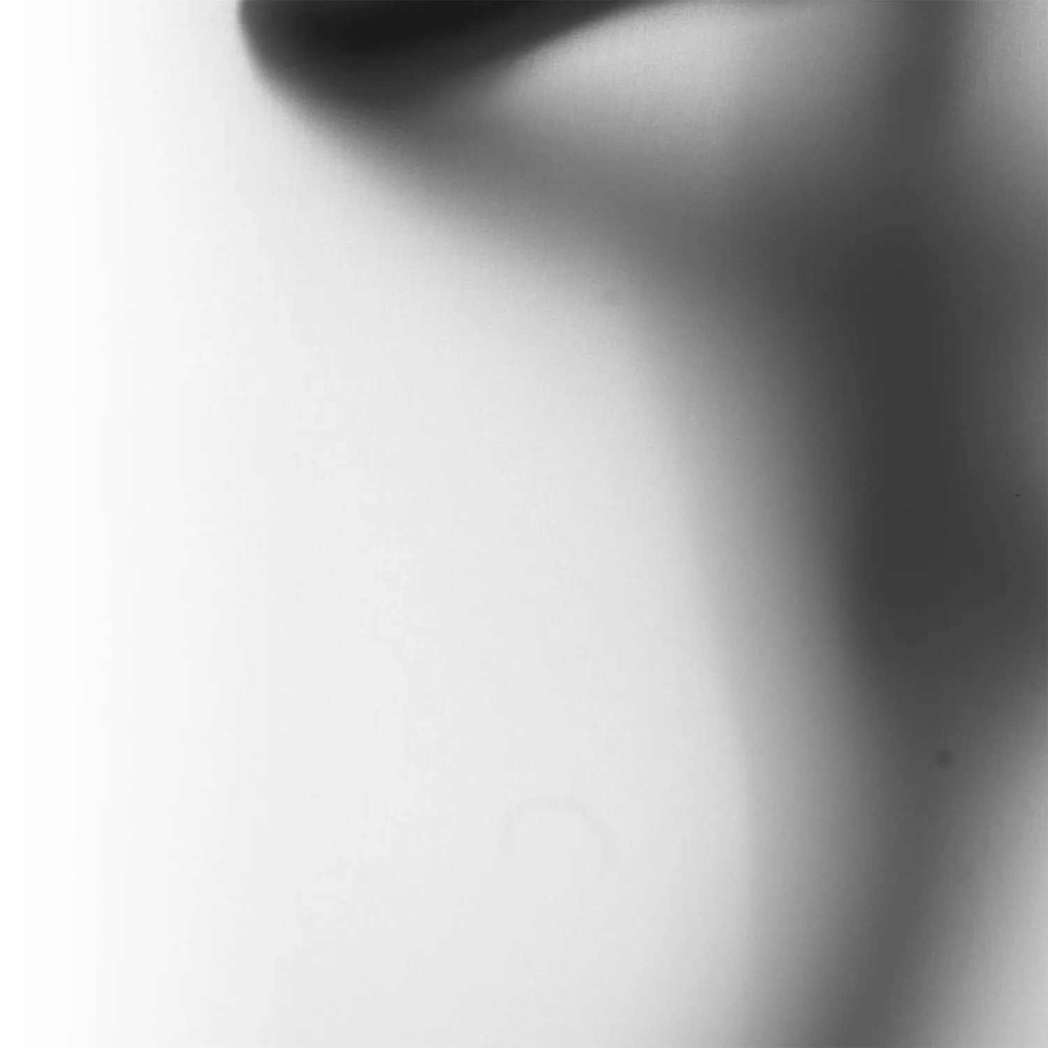 Фотообои рулонные Citydecor Силуэт на флизелиновой основе 200x254 см