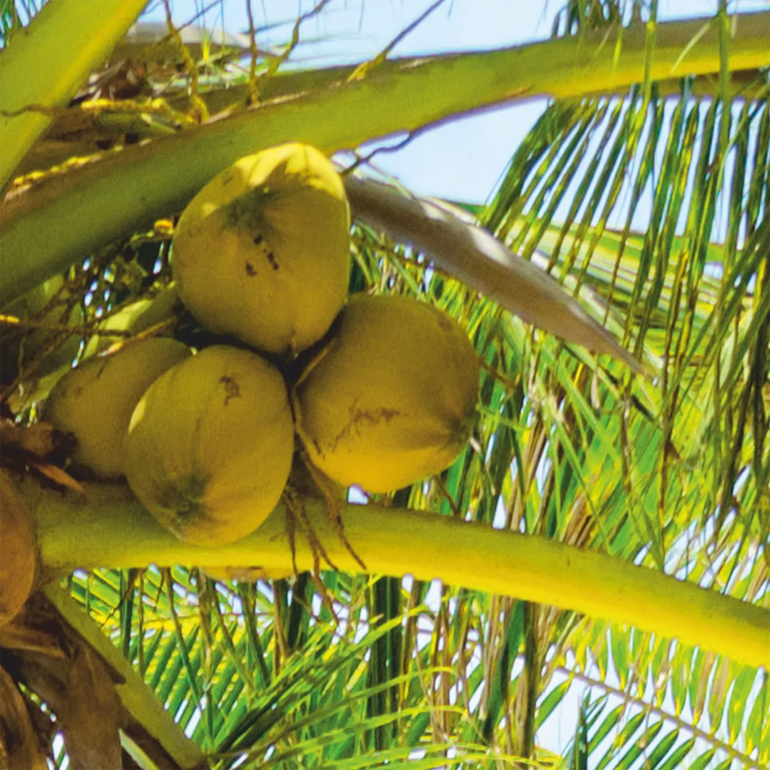 Фотообои рулонные Citydecor Вид на море на флизелиновой основе 200x254 см