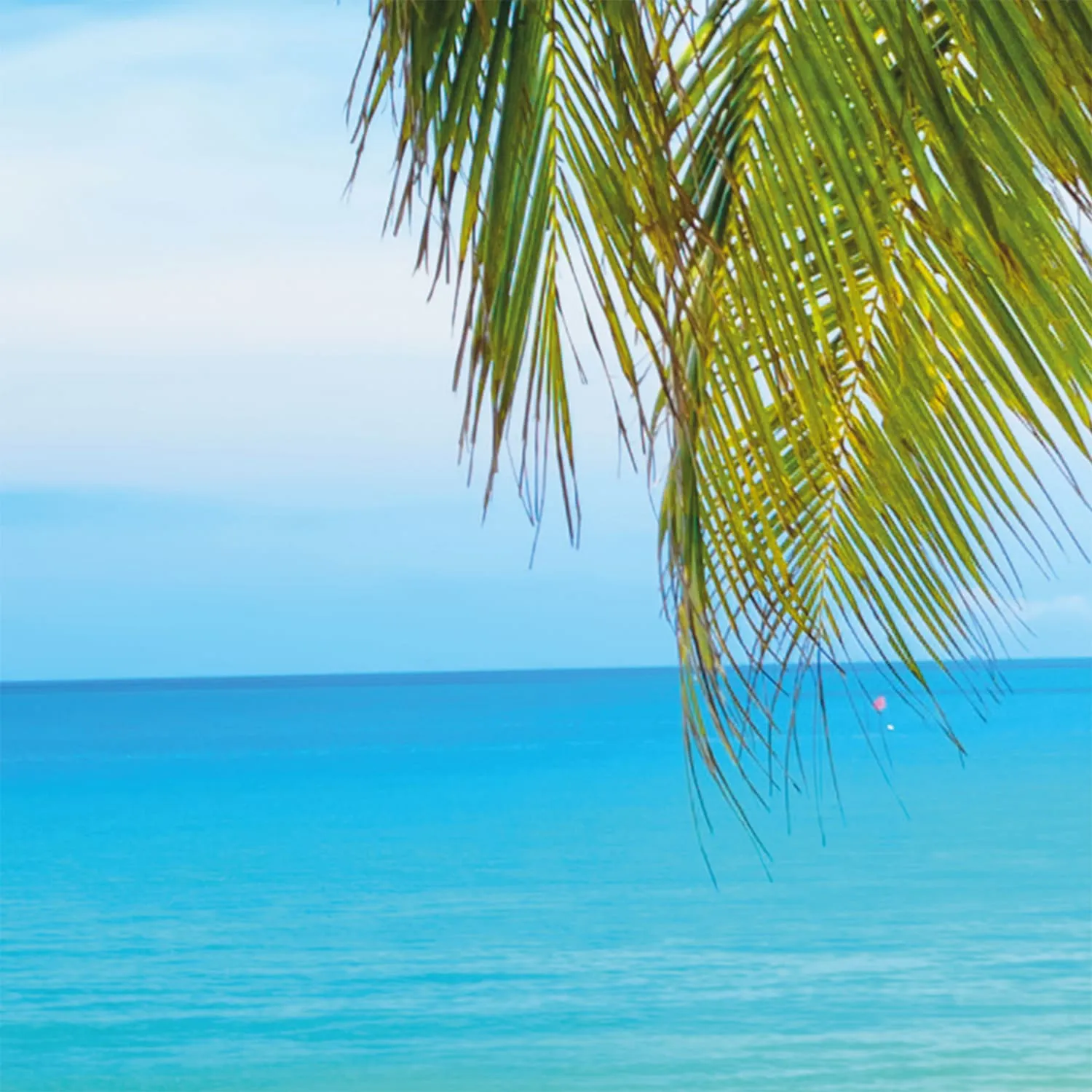 Фотообои рулонные Citydecor Вид на море на флизелиновой основе 200x254 см