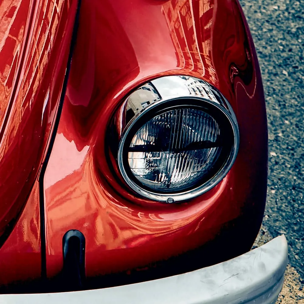 Фотообои рулонные Citydecor Жук на флизелиновой основе 200x254 см