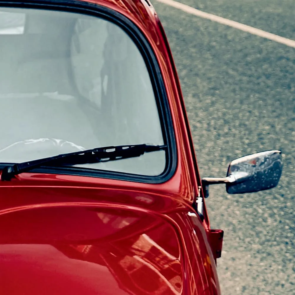 Фотообои рулонные Citydecor Жук на флизелиновой основе 200x254 см