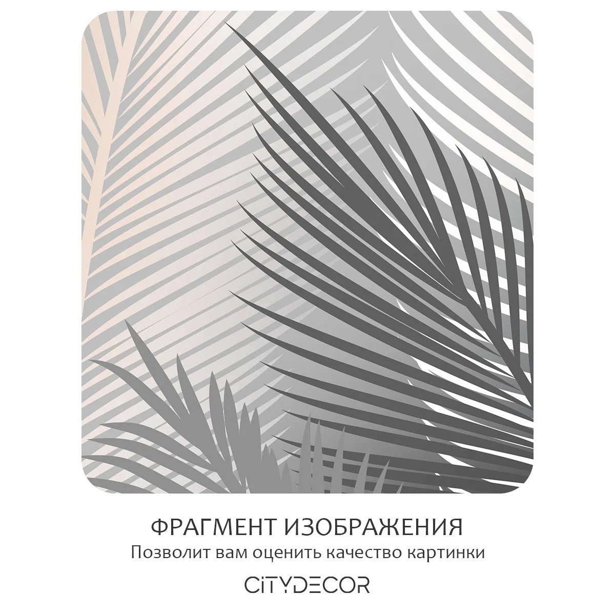Фотообои рулонные Citydecor Пальмовые листья 57 на флизелиновой основе 200x260 см