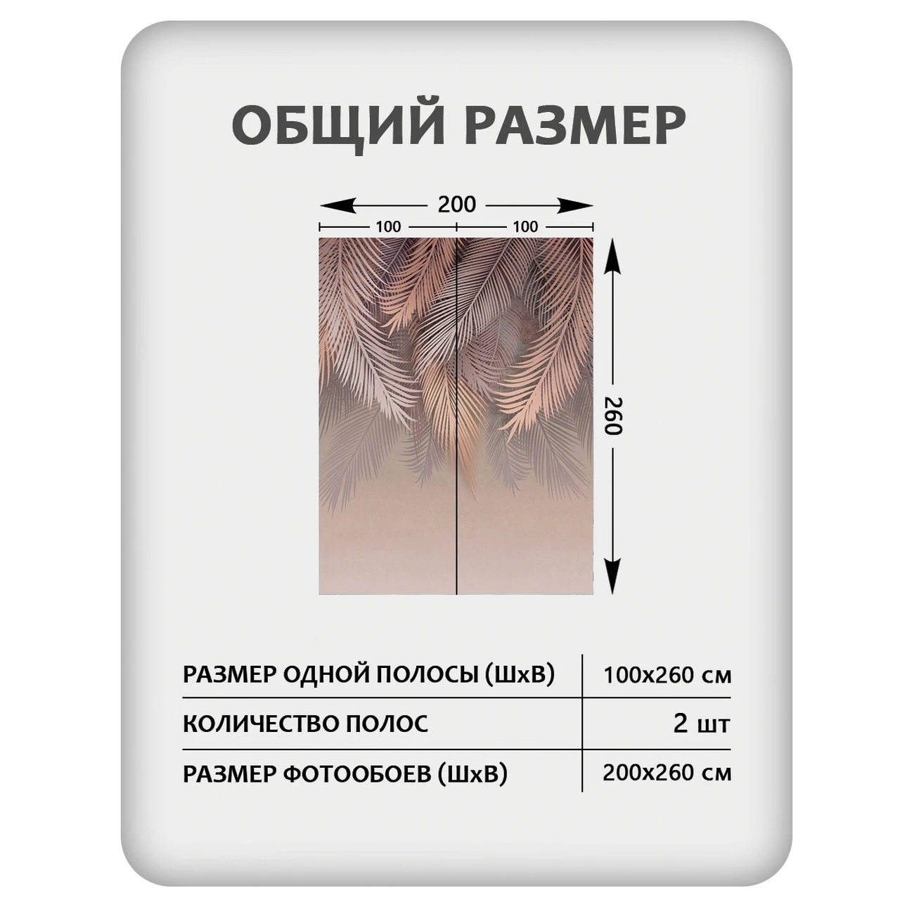 Фотообои рулонные Citydecor Пальмовые листья 79 на флизелиновой основе 200x260 см