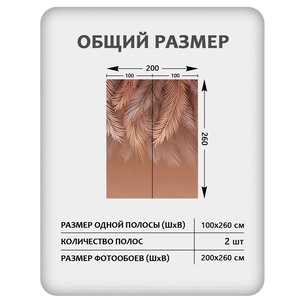 Фотообои рулонные Citydecor Пальмовые листья 80 на флизелиновой основе 200x260 см