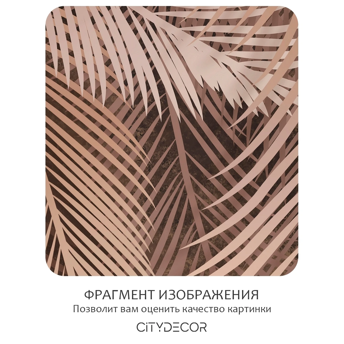 Фотообои рулонные Citydecor Пальмовые листья 80 на флизелиновой основе 200x260 см