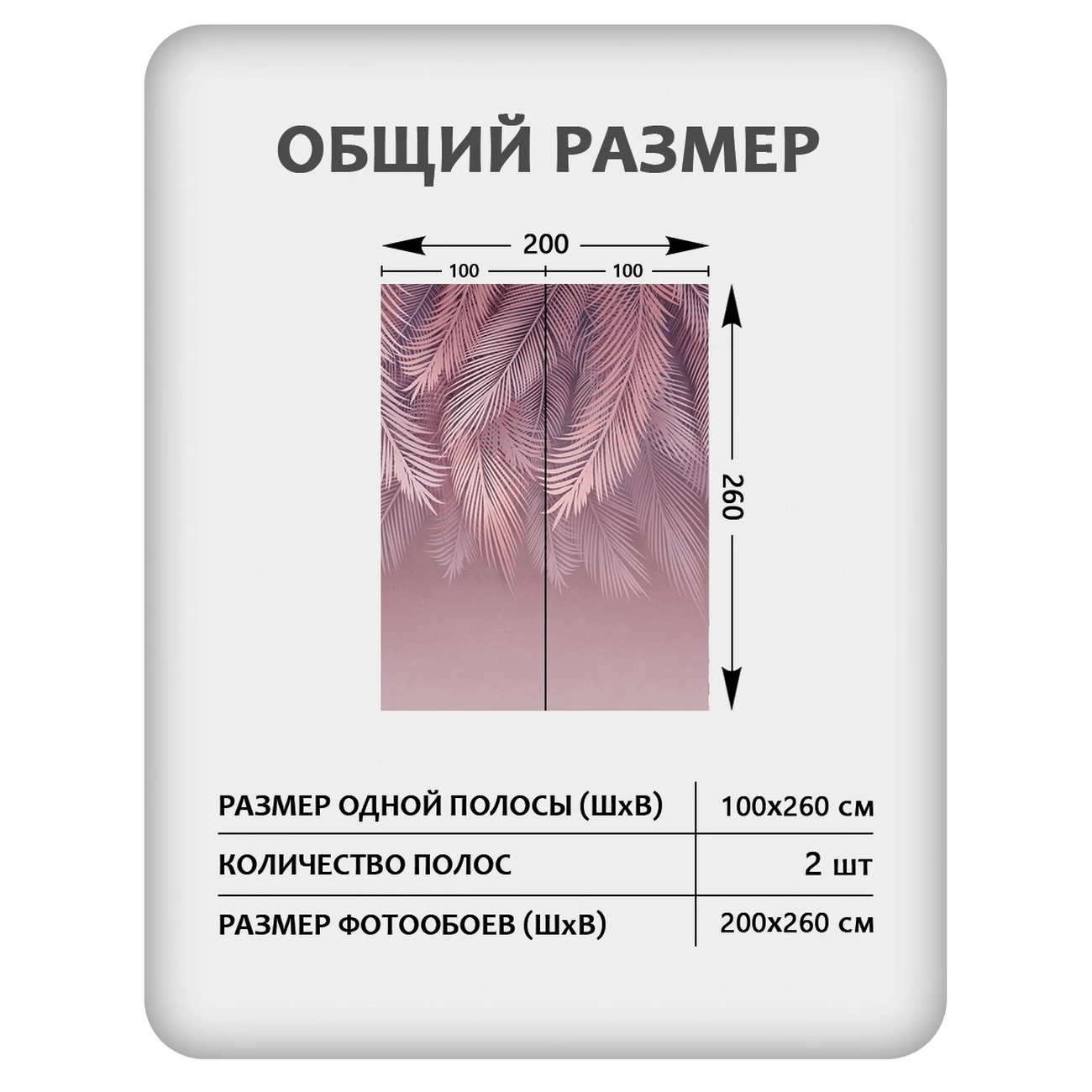 Фотообои рулонные Citydecor Пальмовые листья 81 на флизелиновой основе 200x260 см