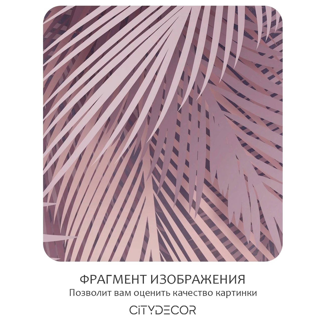 Фотообои рулонные Citydecor Пальмовые листья 81 на флизелиновой основе 200x260 см