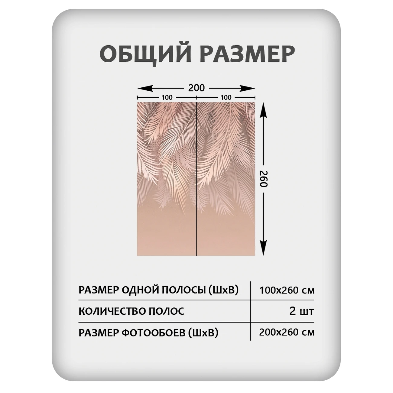 Фотообои рулонные Citydecor Пальмовые листья 82 на флизелиновой основе 200x260 см