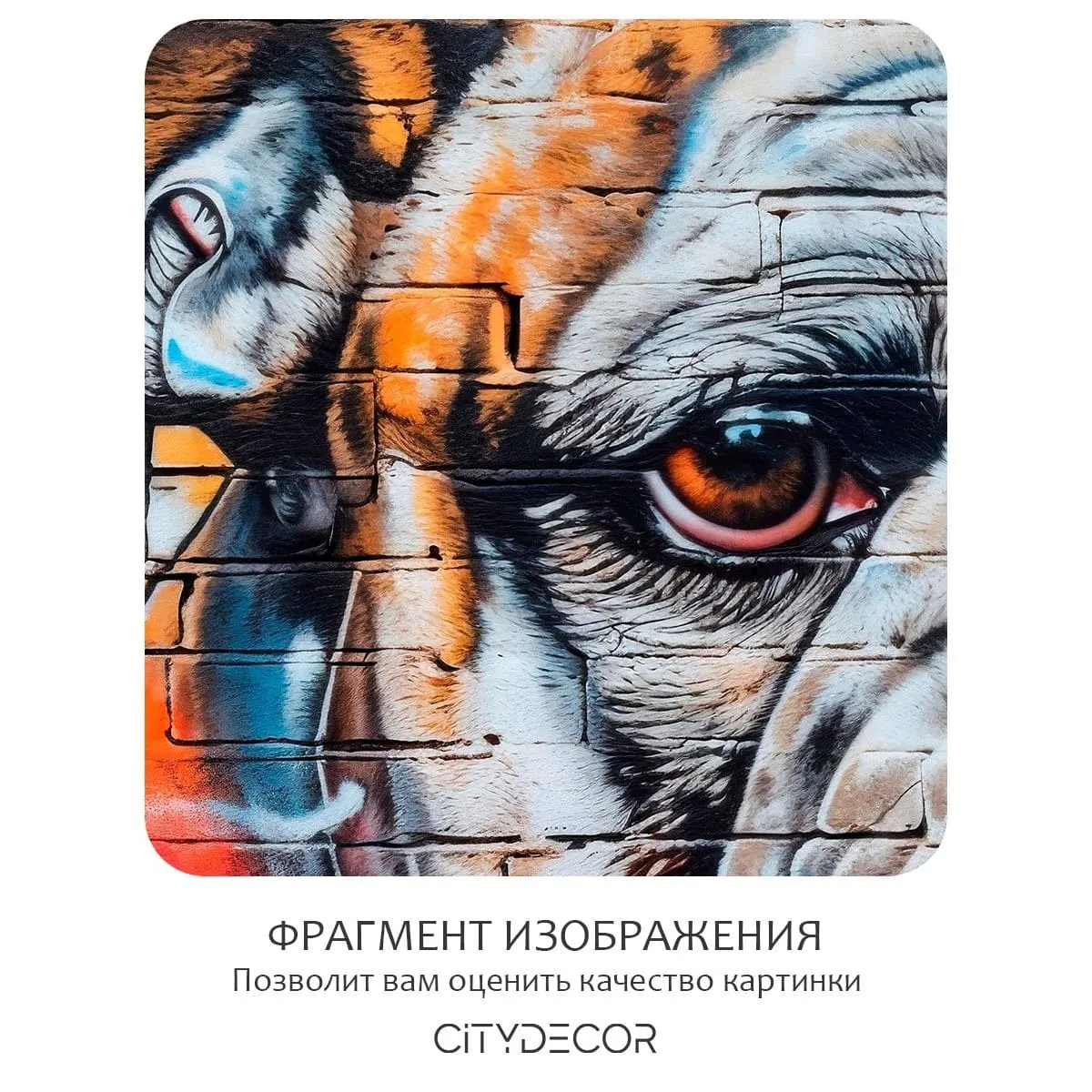 Фотообои рулонные Citydecor El Tomasio  на флизелиновой основе 200x260 см