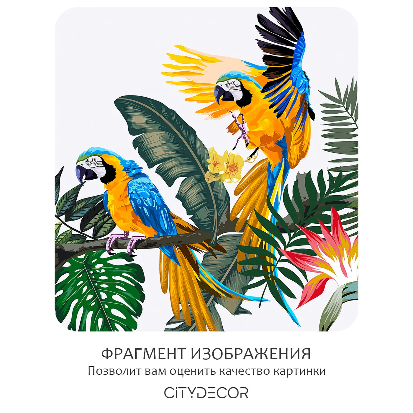 Фотообои рулонные Citydecor Абстракция 394 на флизелиновой основе 200X260 см