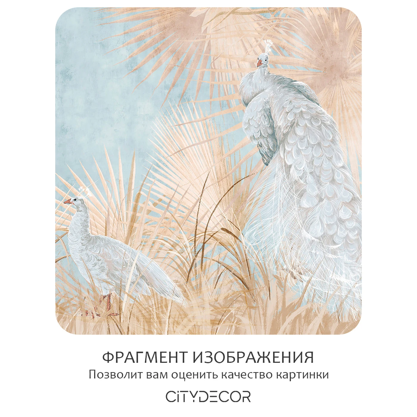 Фотообои рулонные Citydecor Животные и Птицы 34 на флизелиновой основе 200X260 см