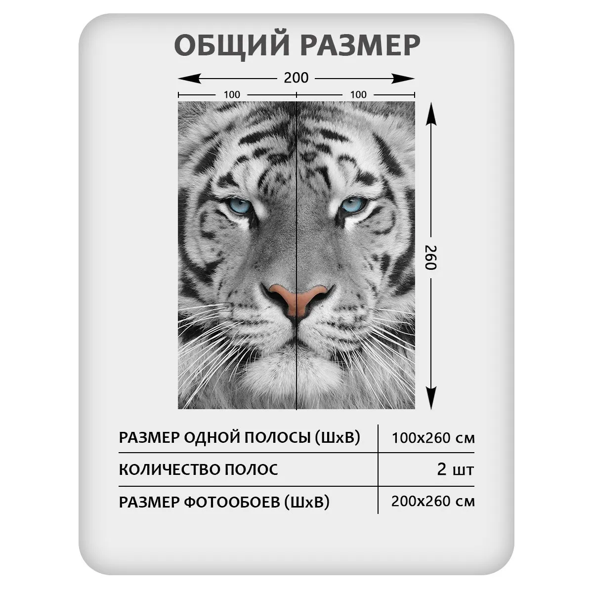 Фотообои рулонные Citydecor Животные и Птицы 55 на флизелиновой основе 200x260 см