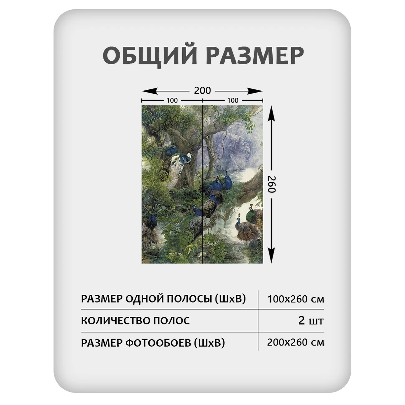 Фотообои рулонные Citydecor Животные и Птицы 57 на флизелиновой основе 200x260 см