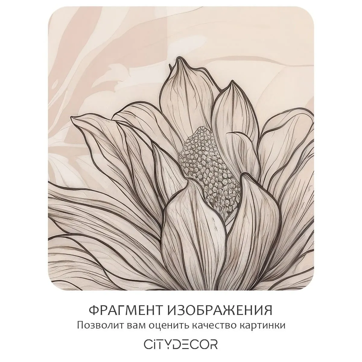 Фотообои рулонные Citydecor Art Nature 22 на флизелиновой основе 200x260 см