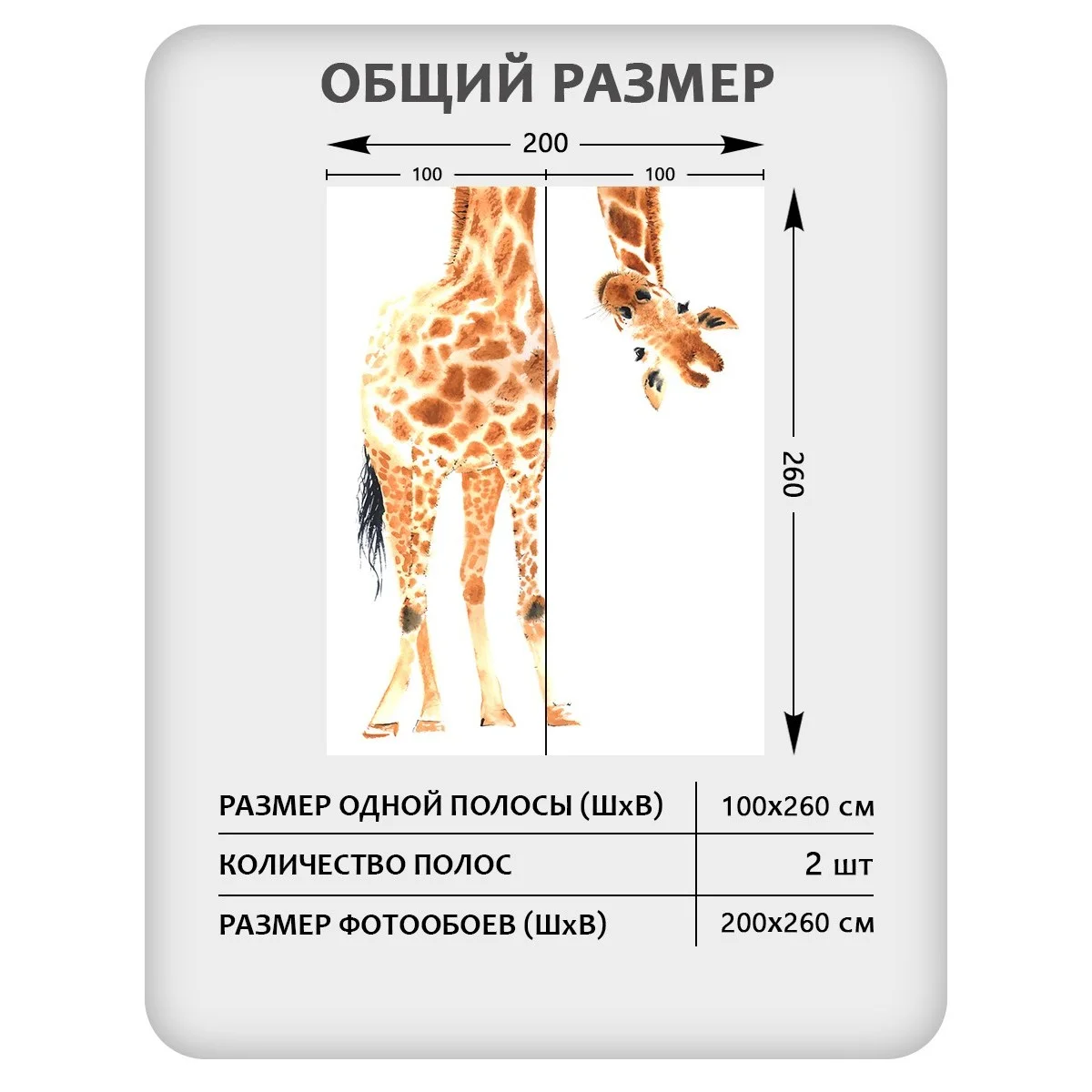 Фотообои рулонные Citydecor Детская 113 на флизелиновой основе 200x260 см