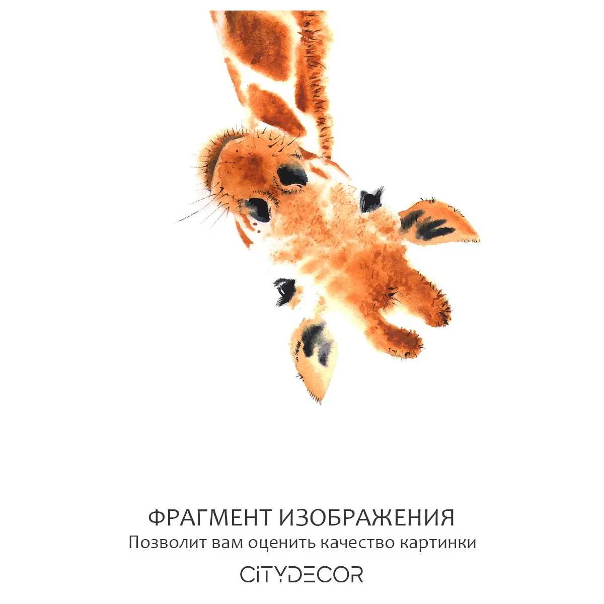 Фотообои рулонные Citydecor Детская 113 на флизелиновой основе 200x260 см