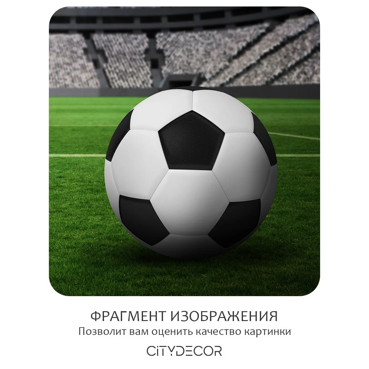 Фотообои рулонные Citydecor Детская 128 на флизелиновой основе 200x260 см