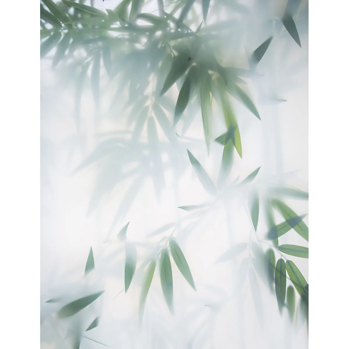 Фотообои рулонные Citydecor Цветы и Растения 153 на флизелиновой основе 200x260 см
