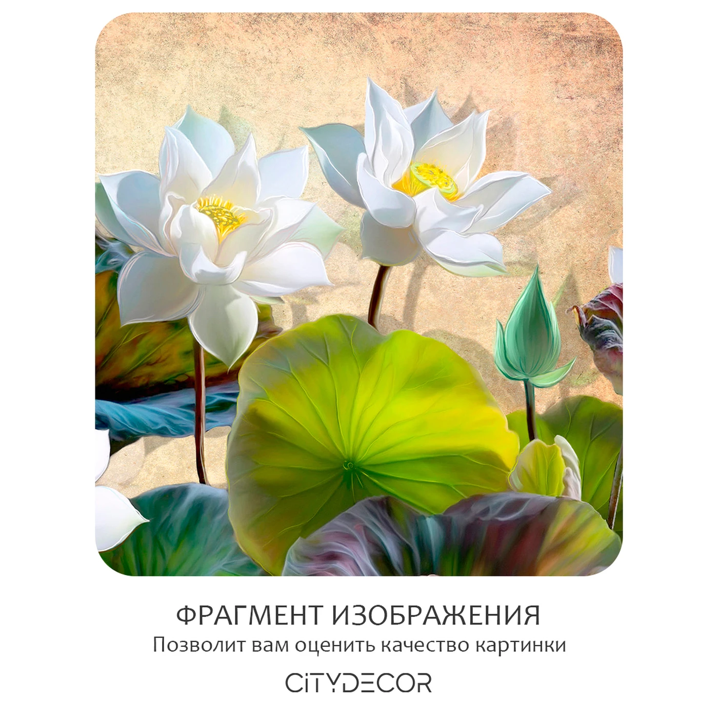 Фотообои рулонные Citydecor Цветы и Растения 163 на флизелиновой основе 200X260 см