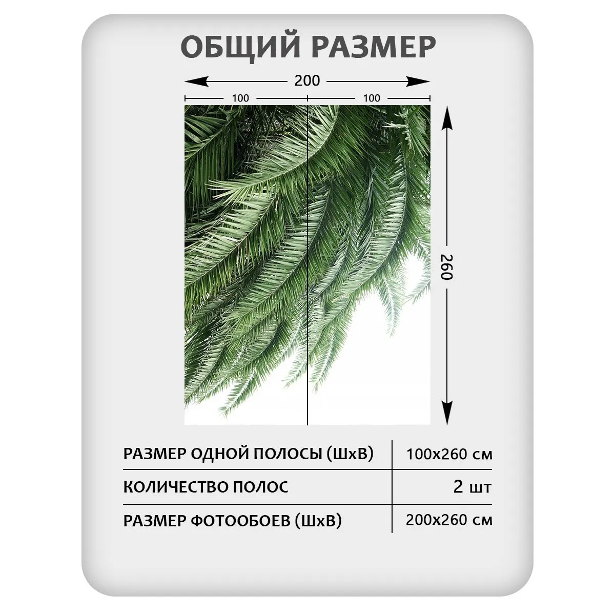 Фотообои рулонные Citydecor Цветы и Растения 203 на флизелиновой основе 200x260 см