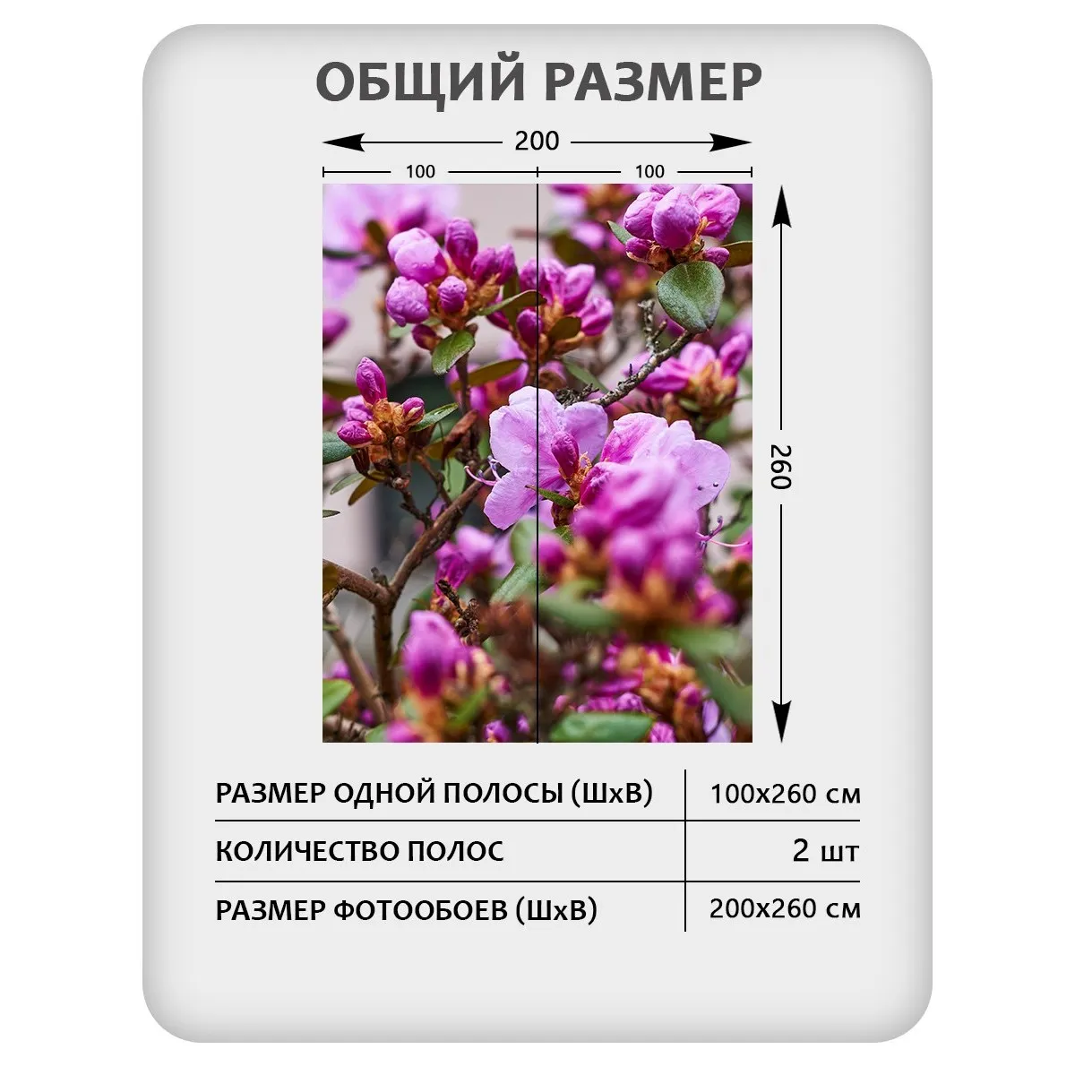 Фотообои рулонные Citydecor Цветы и Растения 204 на флизелиновой основе 200x260 см