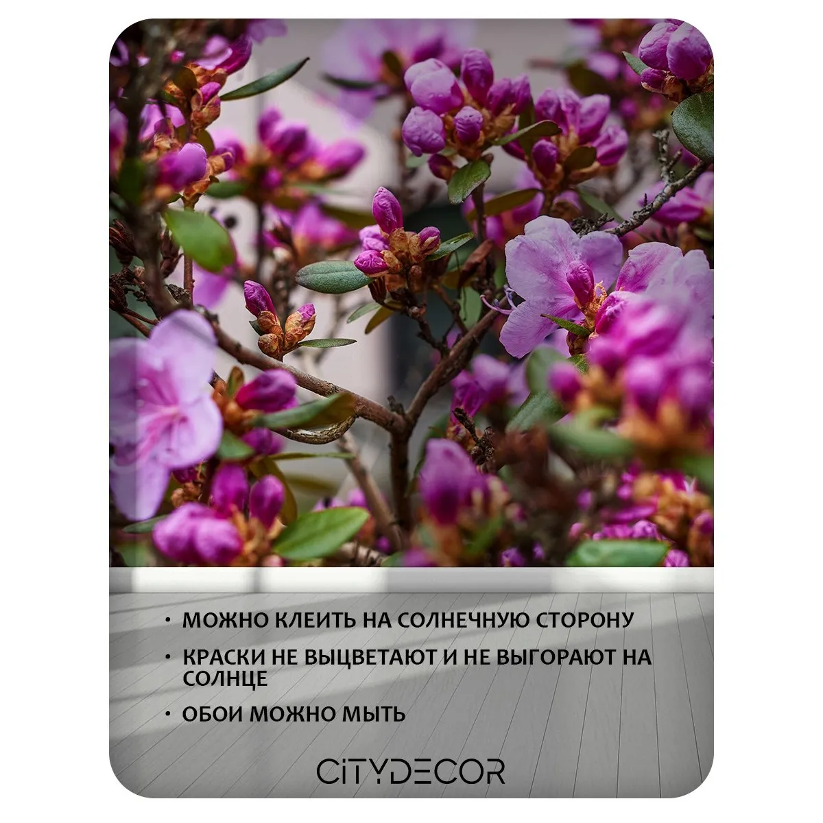 Фотообои рулонные Citydecor Цветы и Растения 204 на флизелиновой основе 200x260 см