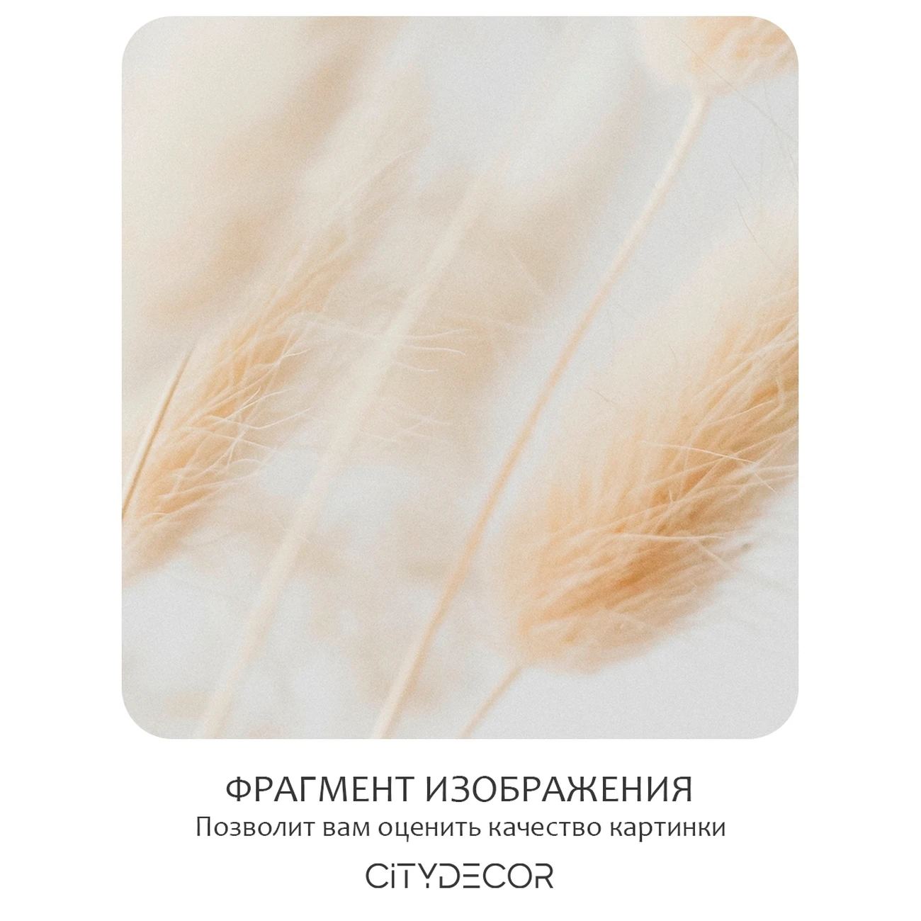 Фотообои рулонные Citydecor Цветы и Растения 235 на флизелиновой основе 200x260 см