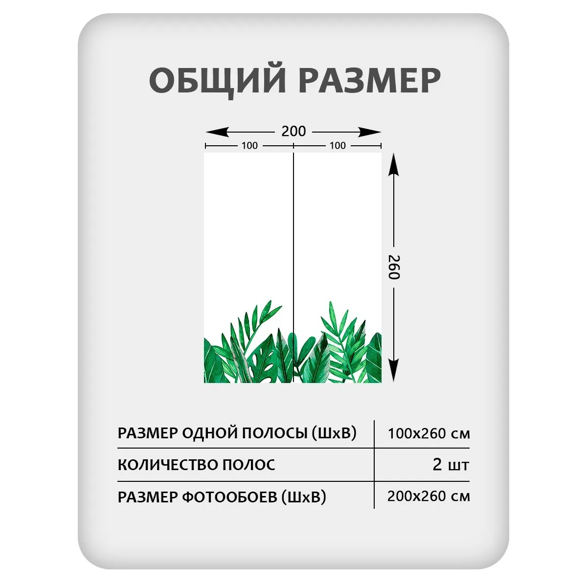 Фотообои рулонные Citydecor Цветы и Растения 238 на флизелиновой основе 200x260 см