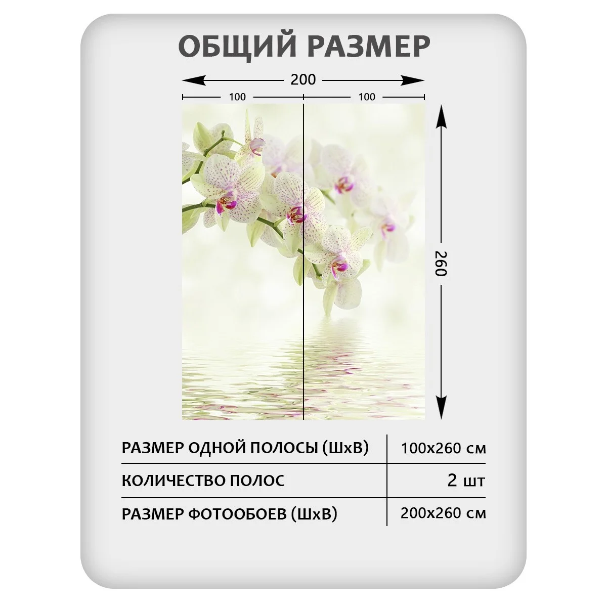 Фотообои рулонные Citydecor Цветы и Растения 34 на флизелиновой основе 200x260 см