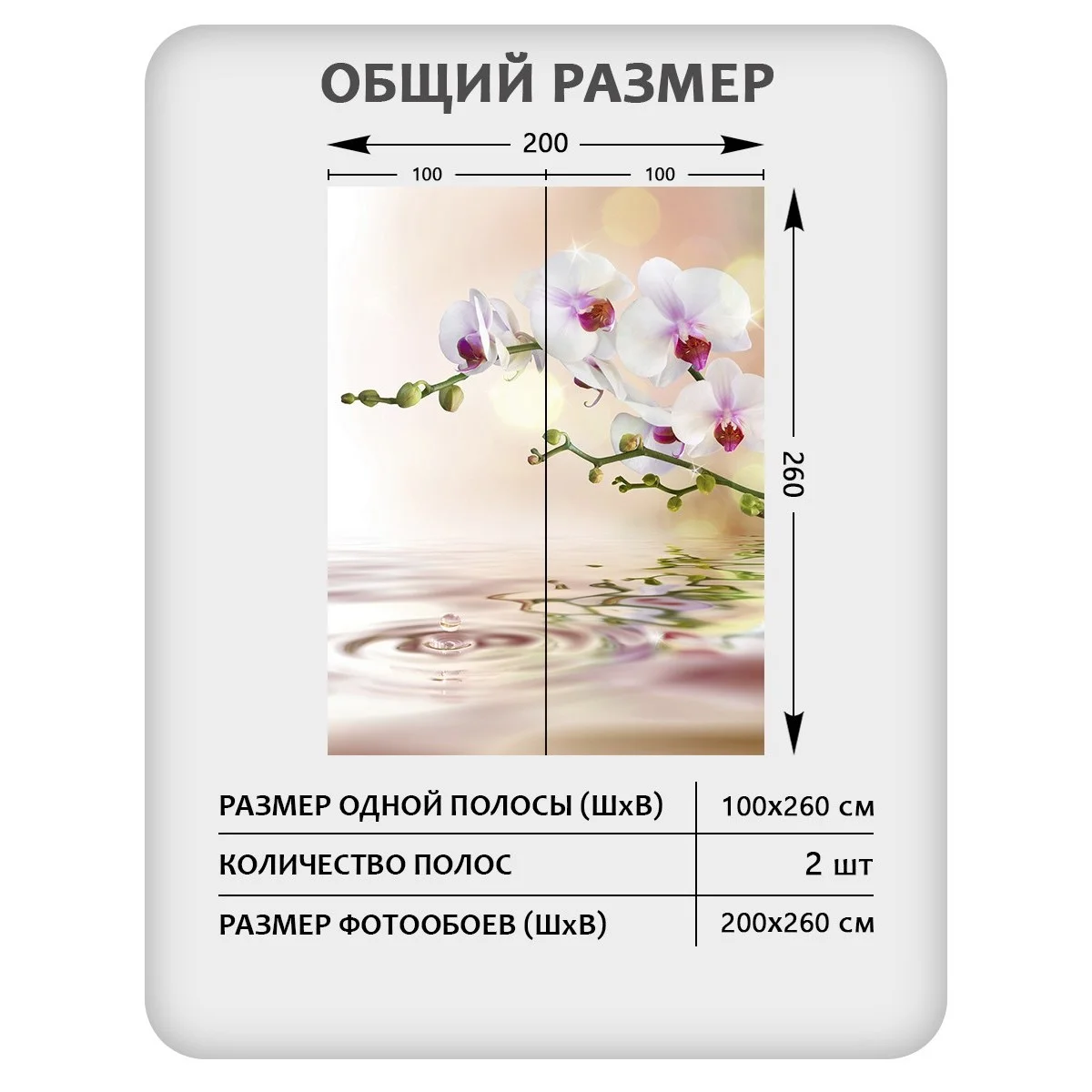 Фотообои рулонные Citydecor Цветы и Растения 38 на флизелиновой основе 200x260 см