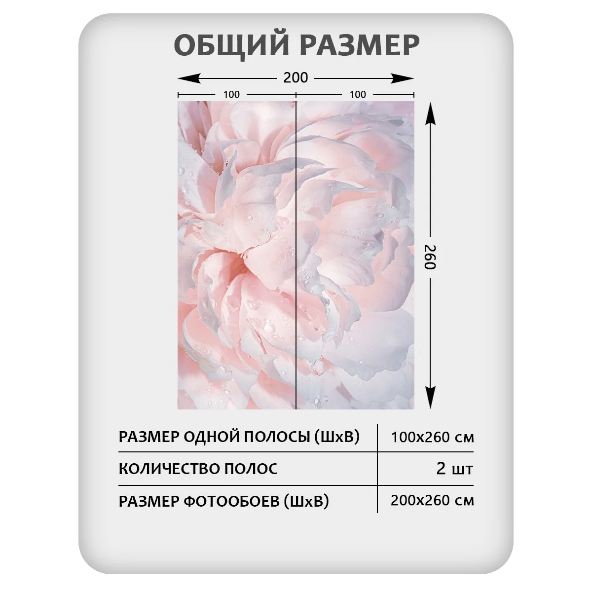 Фотообои рулонные Citydecor Цветы и Растения 40 на флизелиновой основе 200x260 см