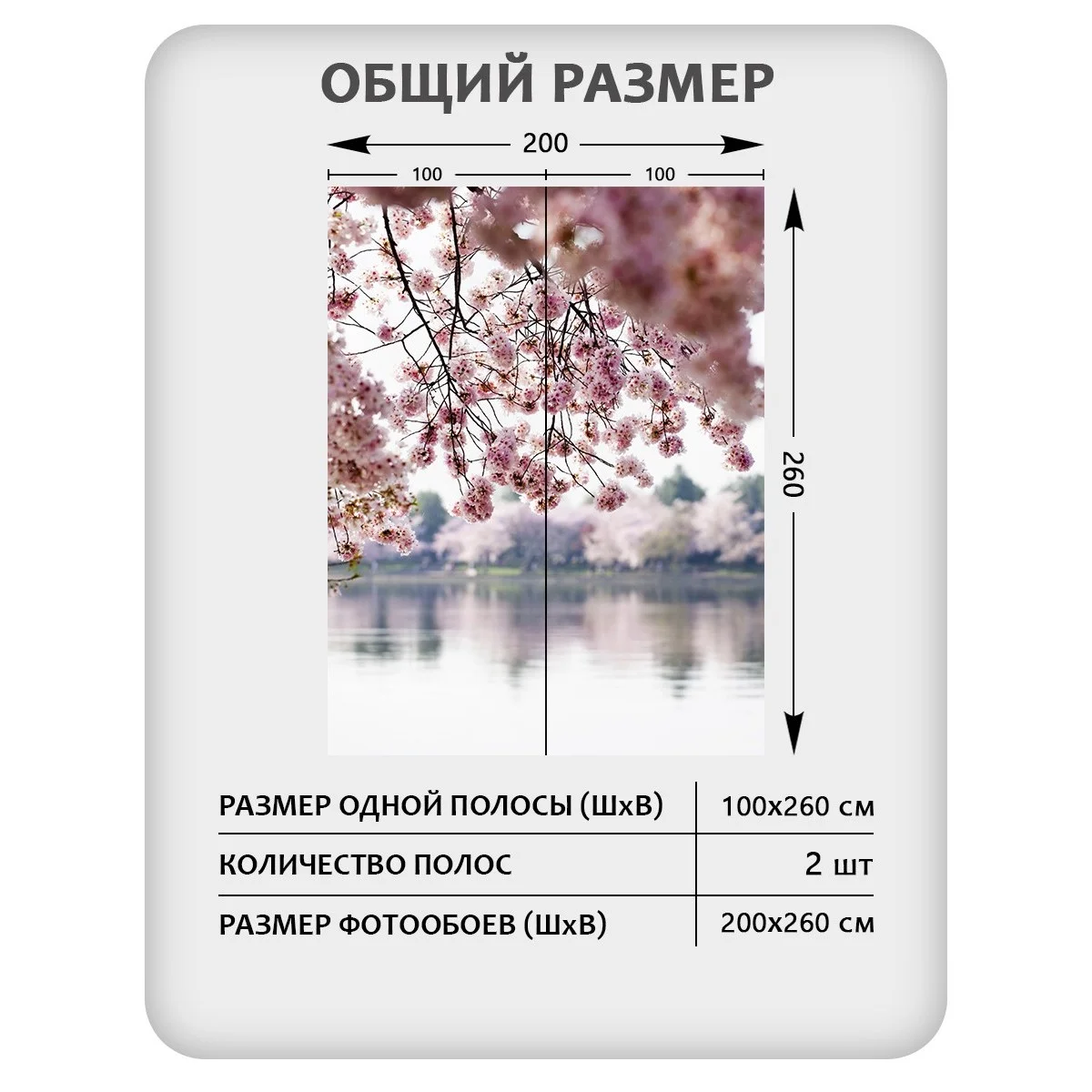 Фотообои рулонные Citydecor Цветы и Растения 49 на флизелиновой основе 200x260 см