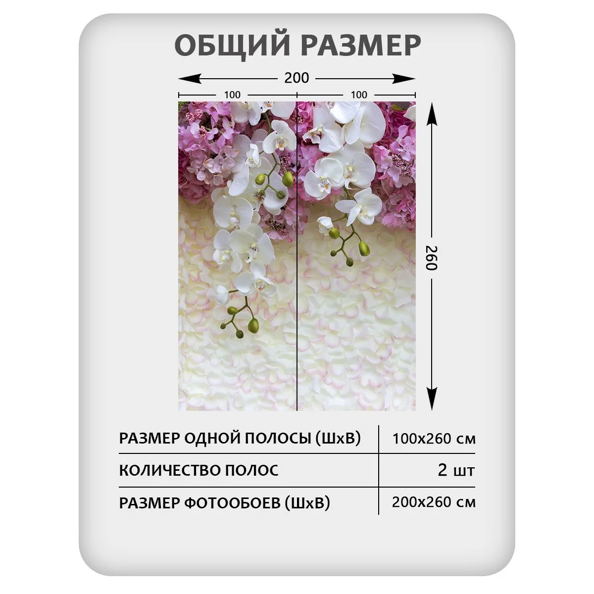 Фотообои рулонные Citydecor Цветы и Растения 50 на флизелиновой основе 200x260 см