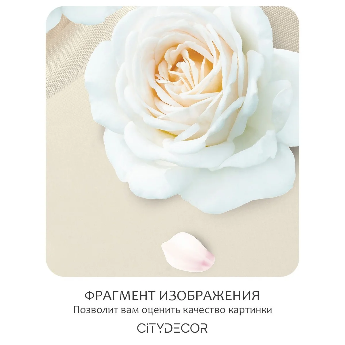 Фотообои рулонные Citydecor Цветы и Растения 57 на флизелиновой основе 200x260 см
