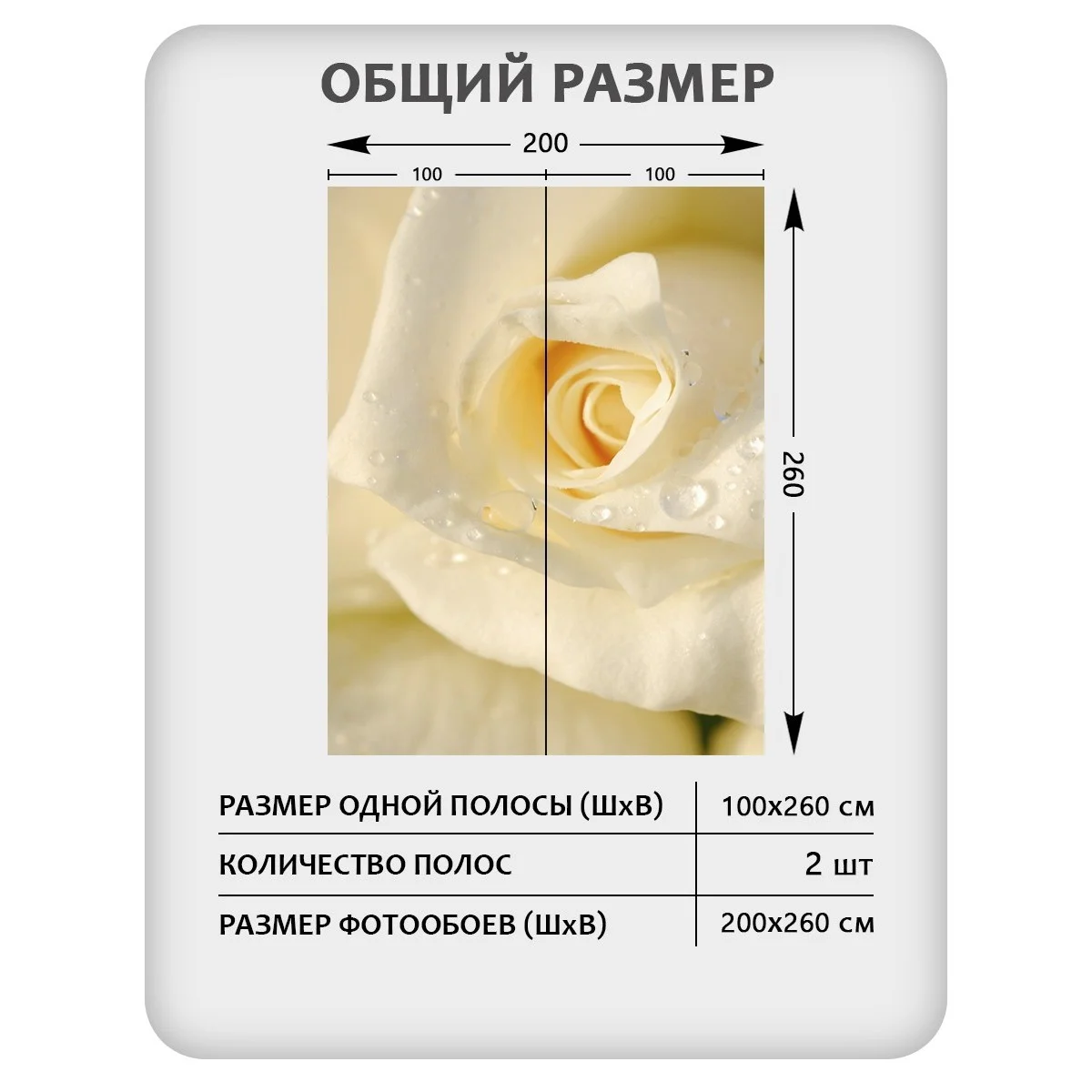 Фотообои рулонные Citydecor Цветы и Растения 65 на флизелиновой основе 200x260 см