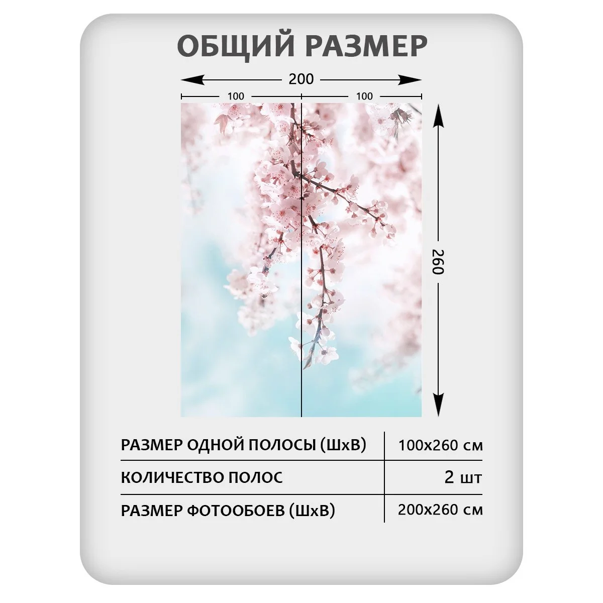 Фотообои рулонные Citydecor Цветы и Растения 67 на флизелиновой основе 200x260 см