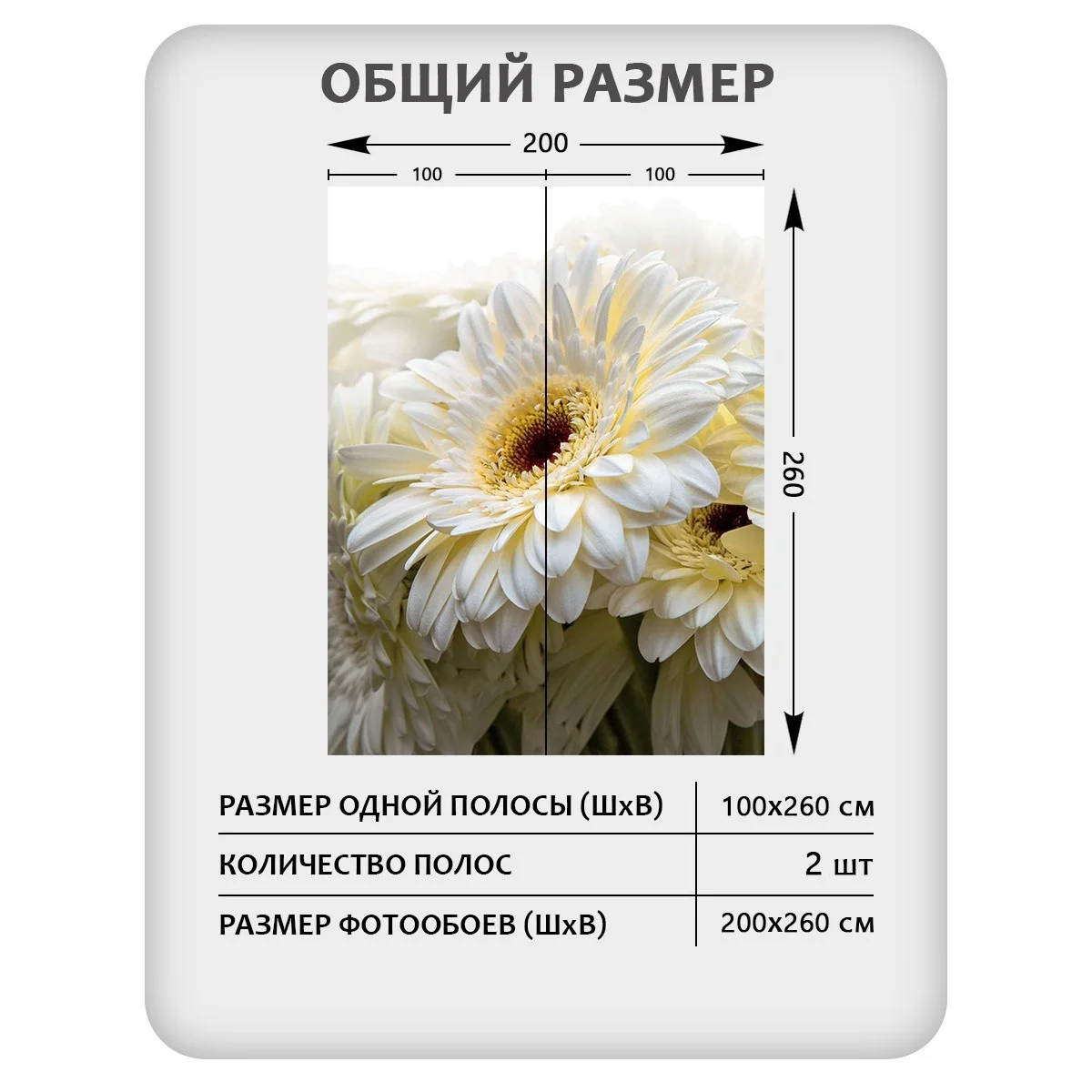 Фотообои рулонные Citydecor Цветы и Растения 68 на флизелиновой основе 200x260 см