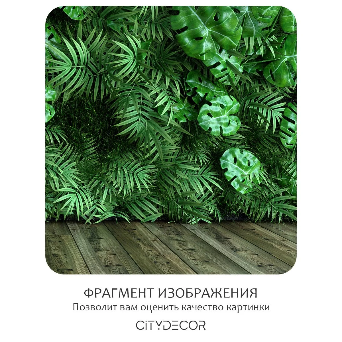 Фотообои рулонные Citydecor Цветы и Растения 71 на флизелиновой основе 200x260 см